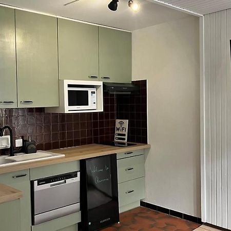 Studio Dent Du Caiman, Chamonix Hyper Centre, Parking, Vue Mont Blanc Εξωτερικό φωτογραφία
