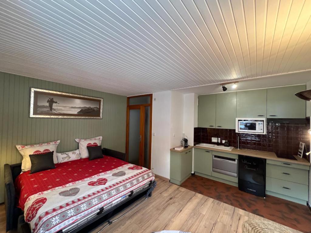Studio Dent Du Caiman, Chamonix Hyper Centre, Parking, Vue Mont Blanc Εξωτερικό φωτογραφία